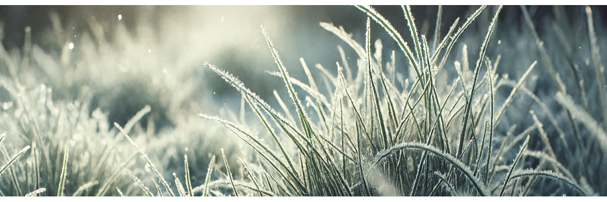 Automatische Gartenbewässerung winterfest machen – Schritt-für-Schritt-Anleitung - 