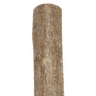 Holzpfosten Hasel naturbelassen gespitz Ø 7 - 9 x 120 cm