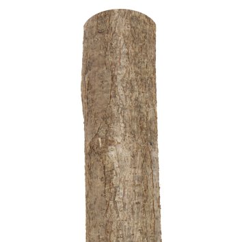 Holzpfosten Hasel naturbelassen gespitzt Ø 6 - 10,...