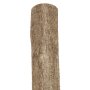 Holzpfosten Hasel naturbelassen gespitzt Ø 6 - 10, 120 cm lang