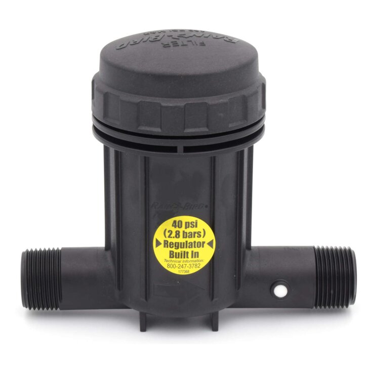 Rain Bird 1" AG IPRB100 Basket Filter mit integ. Druckregulierung