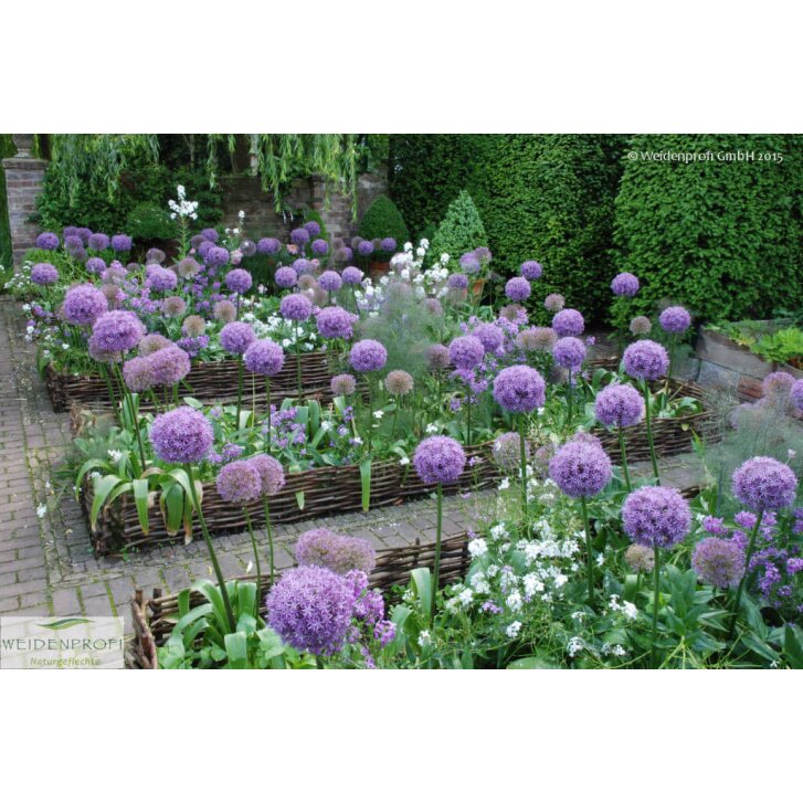 Beeteinfassung Haselnuss, waagerecht geflochten, 120cm x 60cm