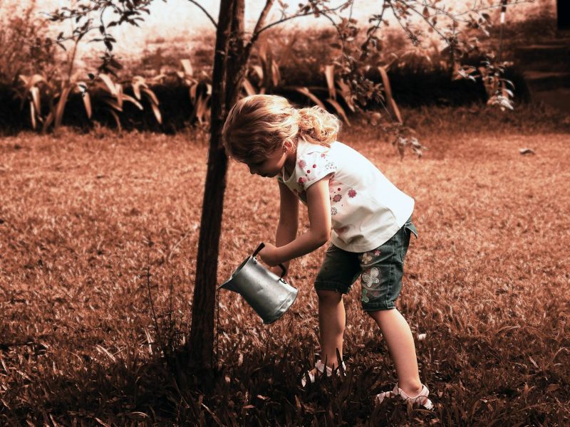 Kind gießt einen jungen Baum